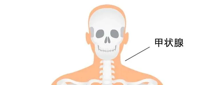 影响备孕、导致胎儿患先天疾病……怀孕前后这个疾病筛查不可漏！