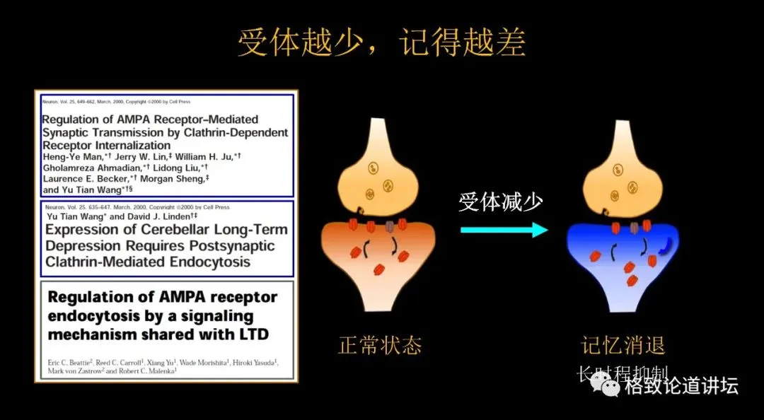 遗忘痛苦的记忆，这种记忆干预手段真的有用吗？