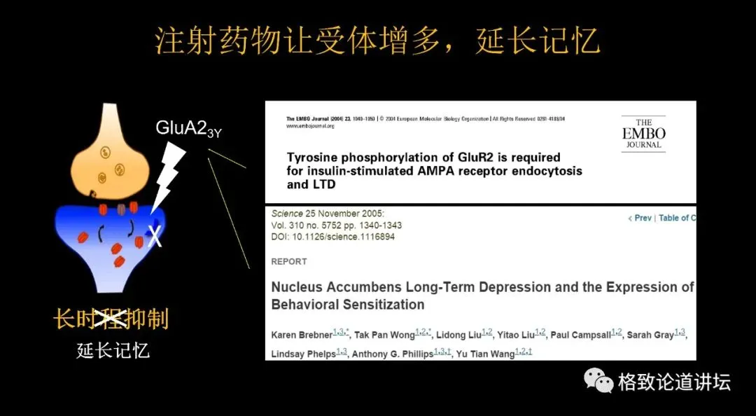 遗忘痛苦的记忆，这种记忆干预手段真的有用吗？