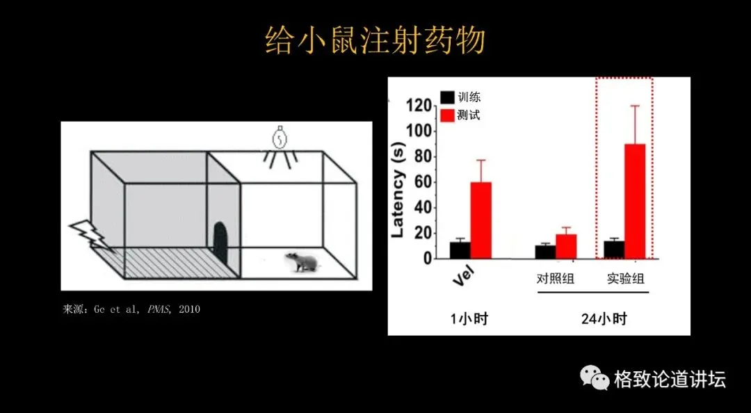 遗忘痛苦的记忆，这种记忆干预手段真的有用吗？