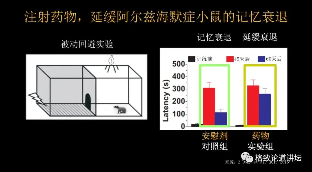 遗忘痛苦的记忆，这种记忆干预手段真的有用吗？