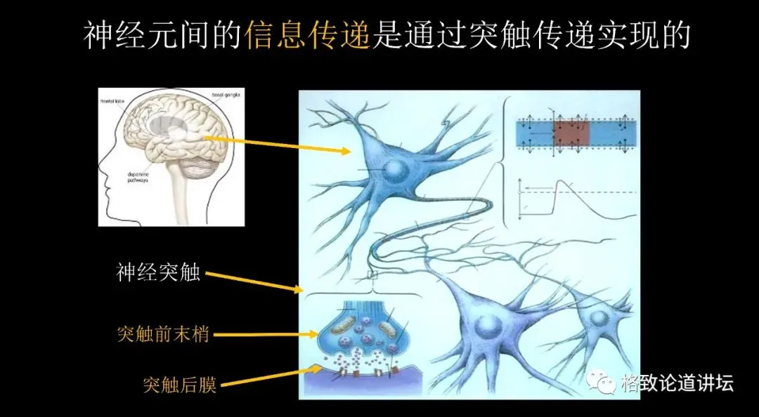 遗忘痛苦的记忆，这种记忆干预手段真的有用吗？