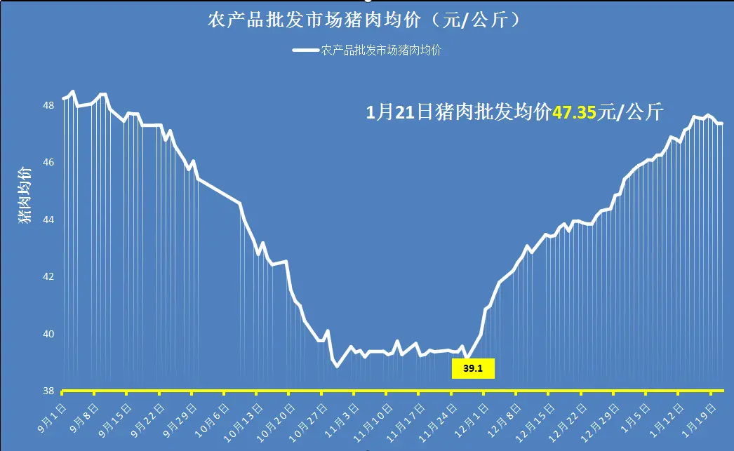 1月22日！猪价大厦将倾！行情跳水大跌！猪肉降价来袭？答案来了