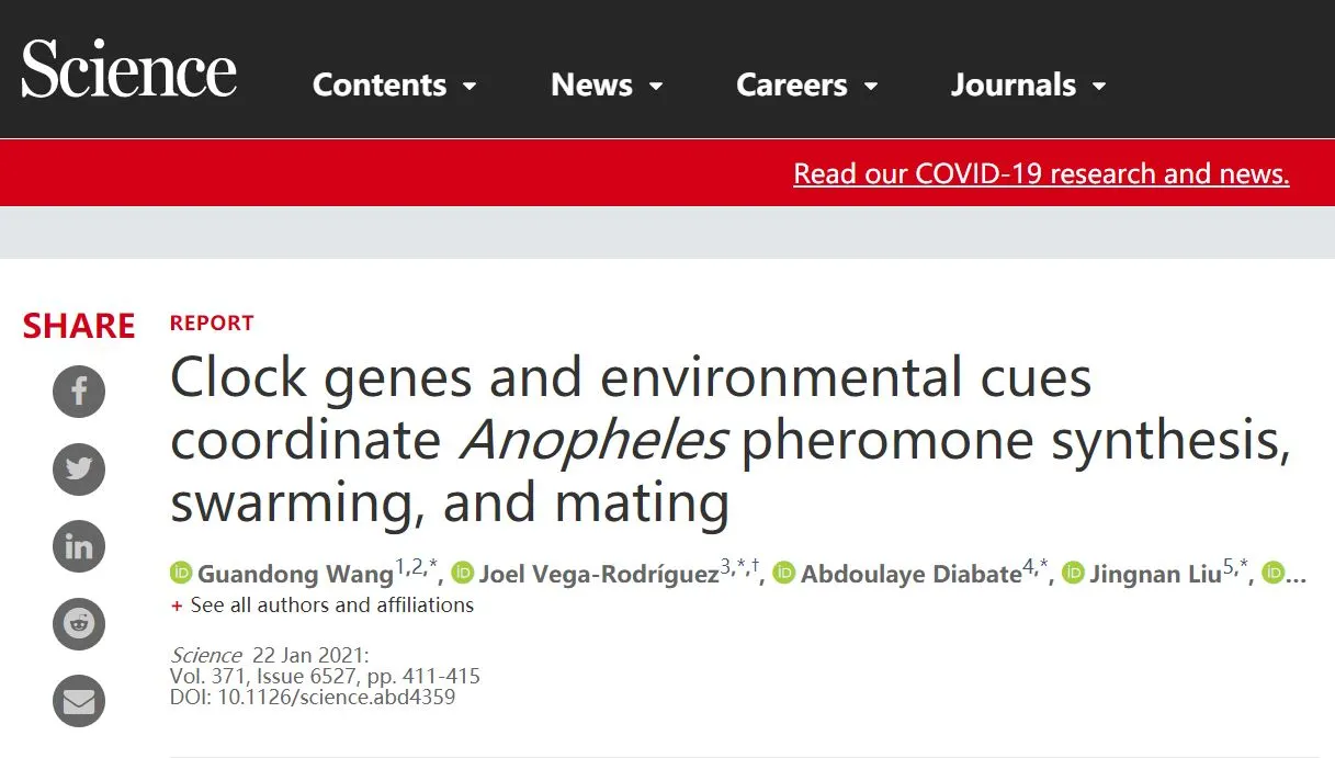 灭蚊新发现登上SCIENCE：发现按蚊“爱的气味”，科学家揭开其婚飞求偶奥秘