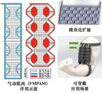 牛！高校研制出3D打印软性机器人，可应用于人工肌肉