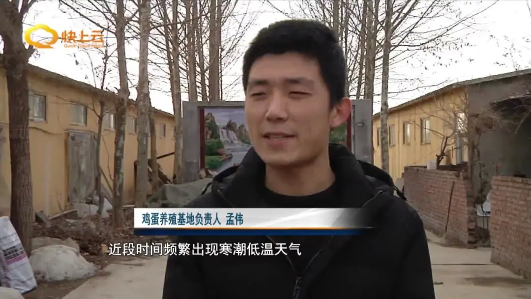 肉菜蛋价平稳涨落 市民应理性购买