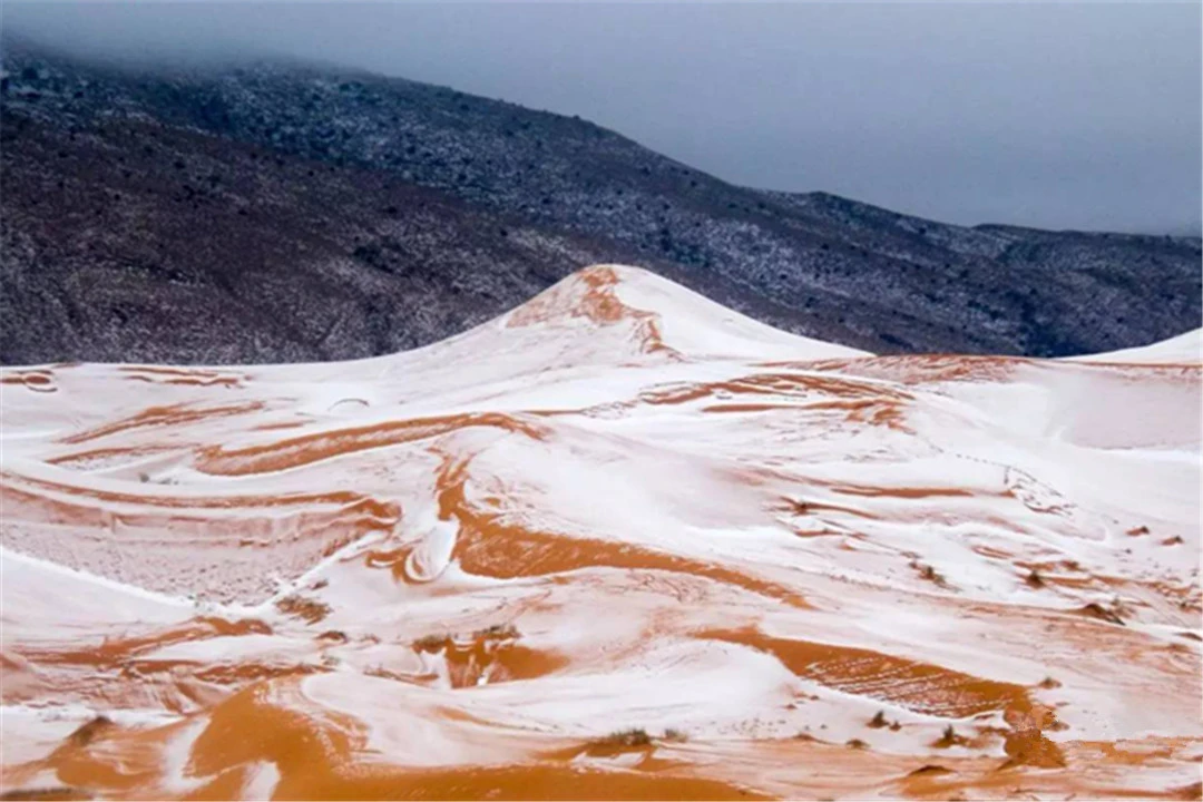 撒哈拉沙漠罕见降雪，科学家却高兴不起来，玛雅预言要实现了吗？