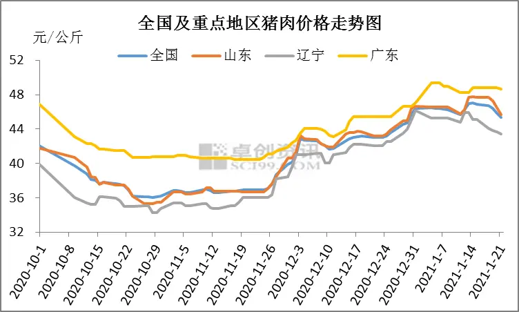 调运不畅 后期猪肉价格是何走势？