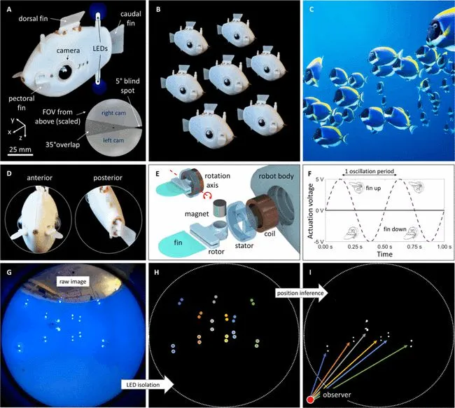 水下机器人天团来了，哈佛大学机器鱼登上Science子刊封面