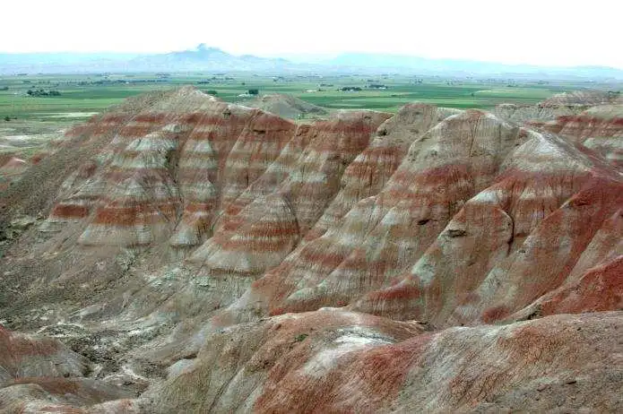 5500万年前，地球发了一次“高烧”，孕育了世界上最大的蛇