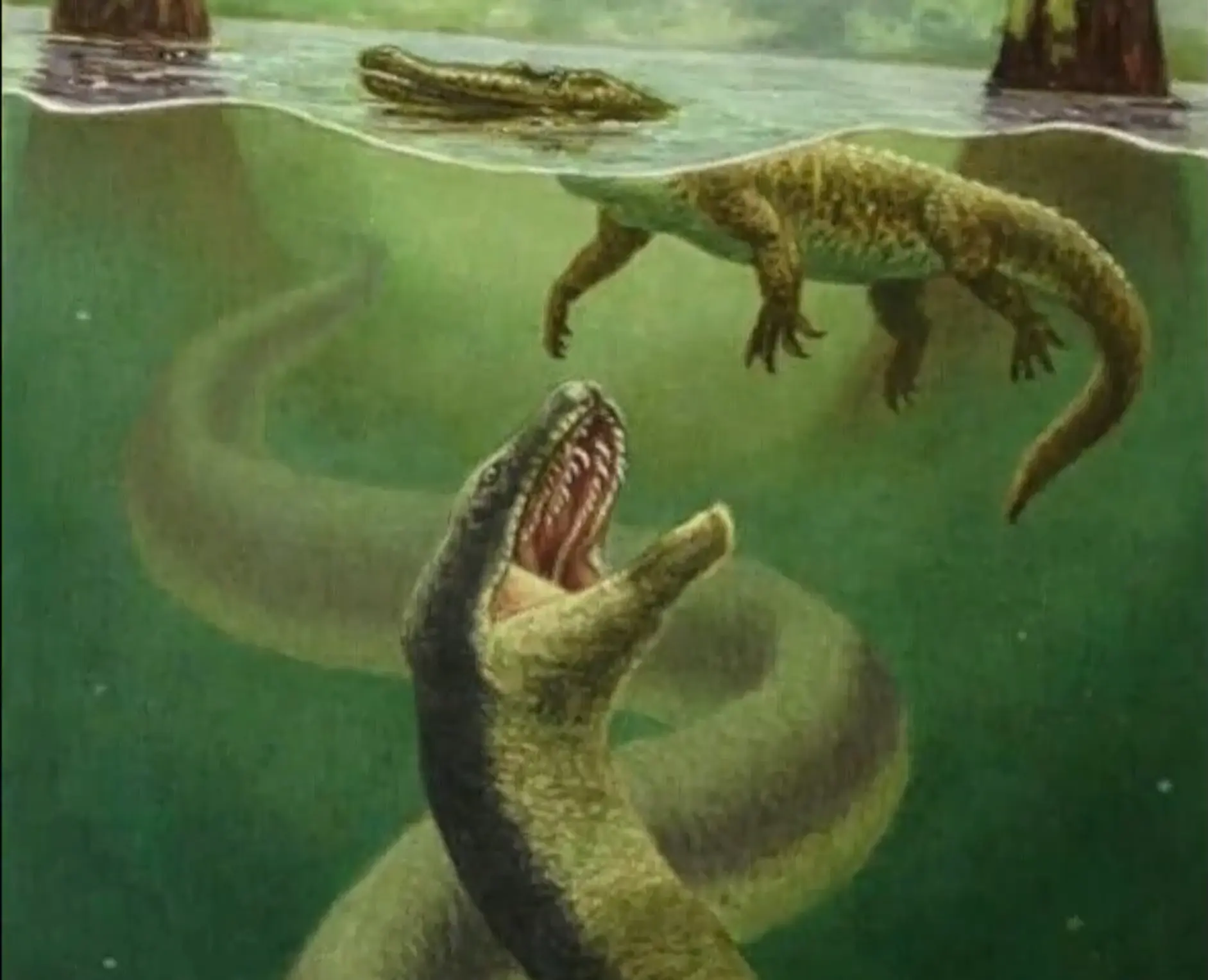 5500万年前，地球发了一次“高烧”，孕育了世界上最大的蛇