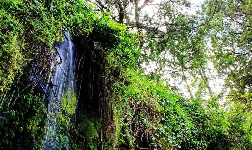 美国惊现生化危机，外交部多次提到的生物基地，究竟有多可怕？