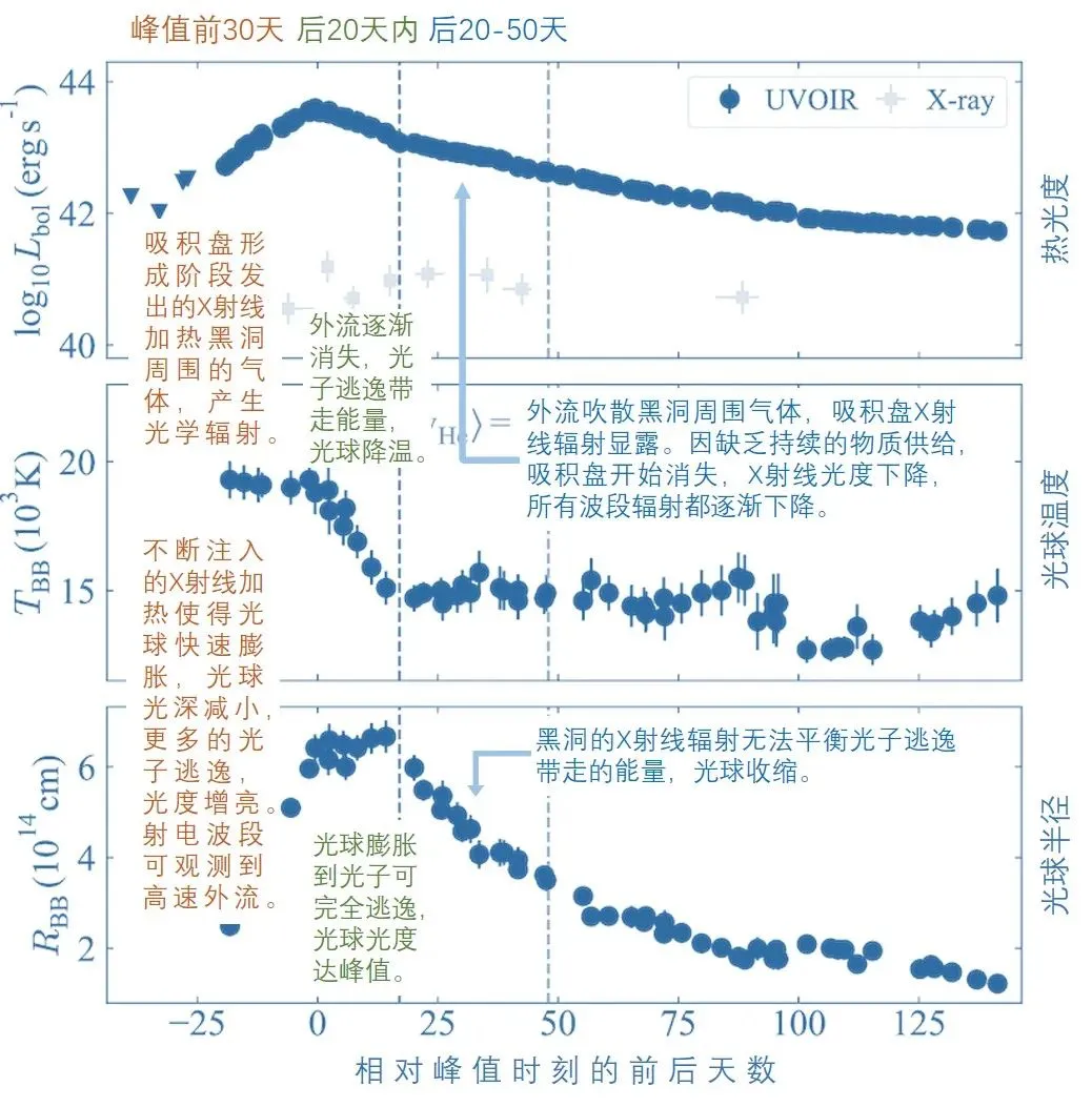 隐蔽的猎杀——潮汐瓦解事件