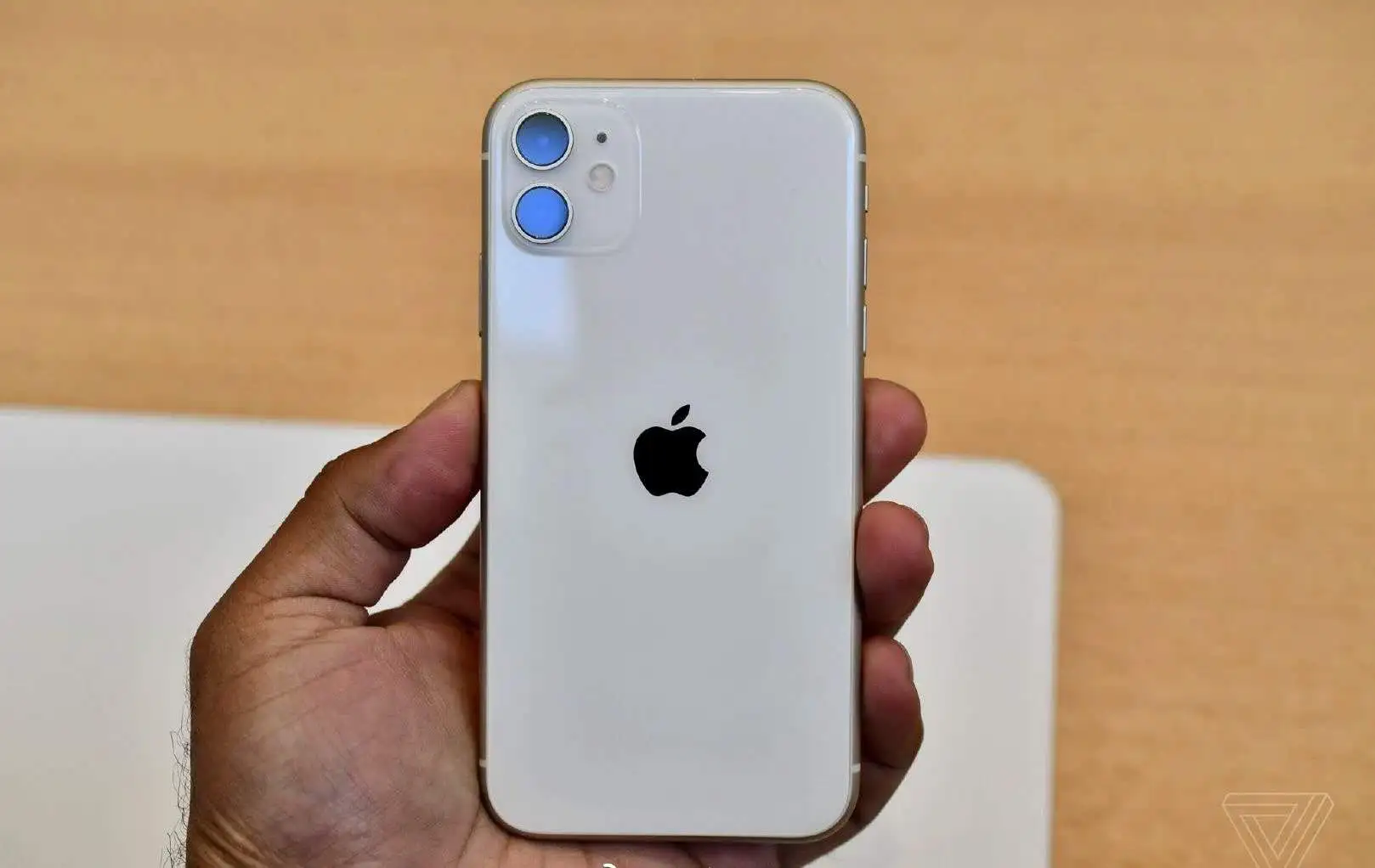 苹果亮狠招，iPhone11一夜沦为“清仓价”，网友：还是盼到了！