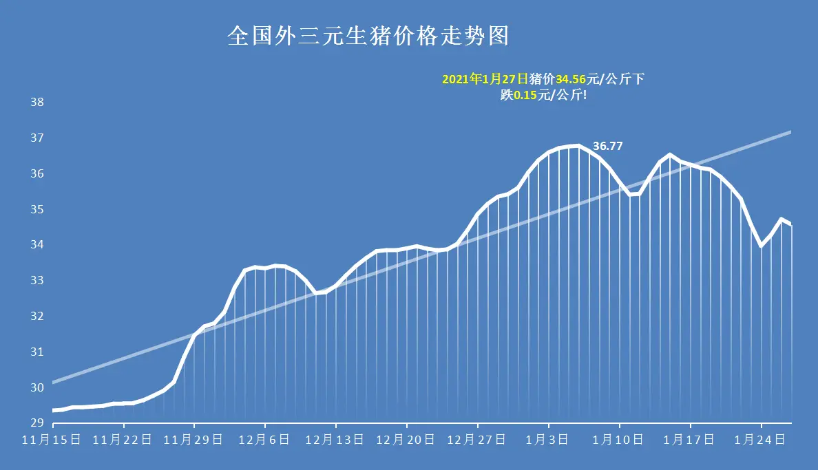 1月27日，猪价涨跌激化，屠企高调压价，猪企话语权旁落他手！