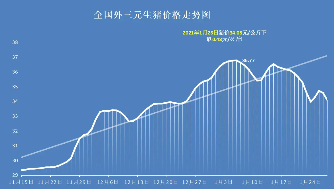 1月28日，猪价遇冷行情“崩盘”，屠企压价，要跌回15元一斤？