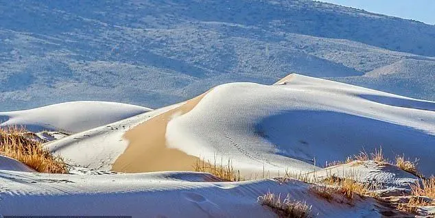 什么鬼？撒哈拉沙漠居然下雪了！