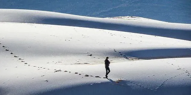 什么鬼？撒哈拉沙漠居然下雪了！