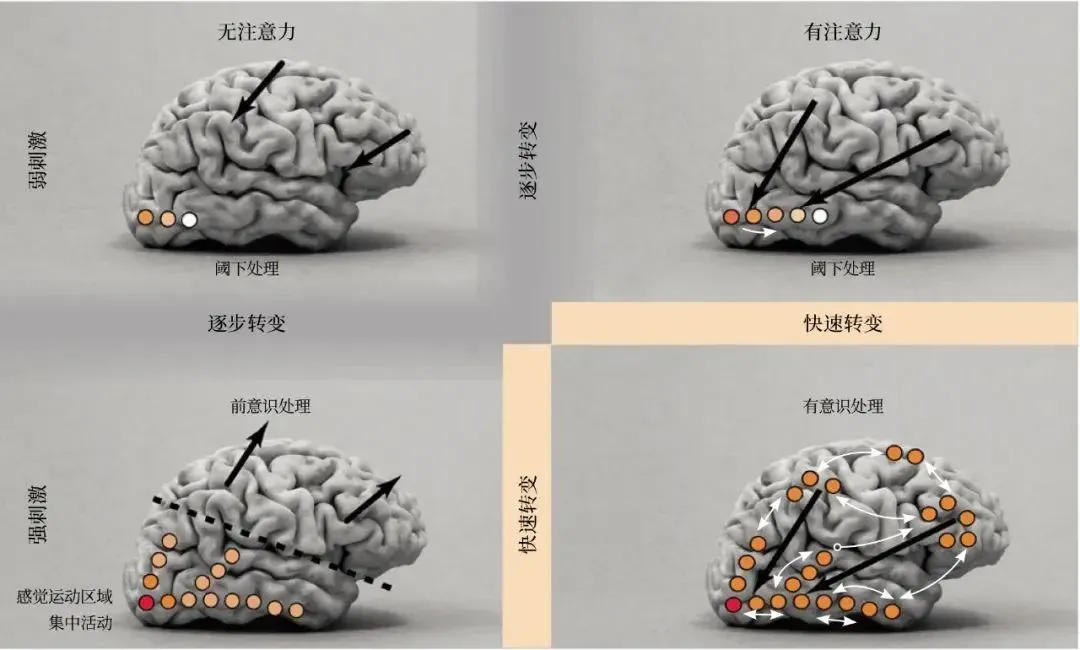 你相信潜意识真的存在吗？