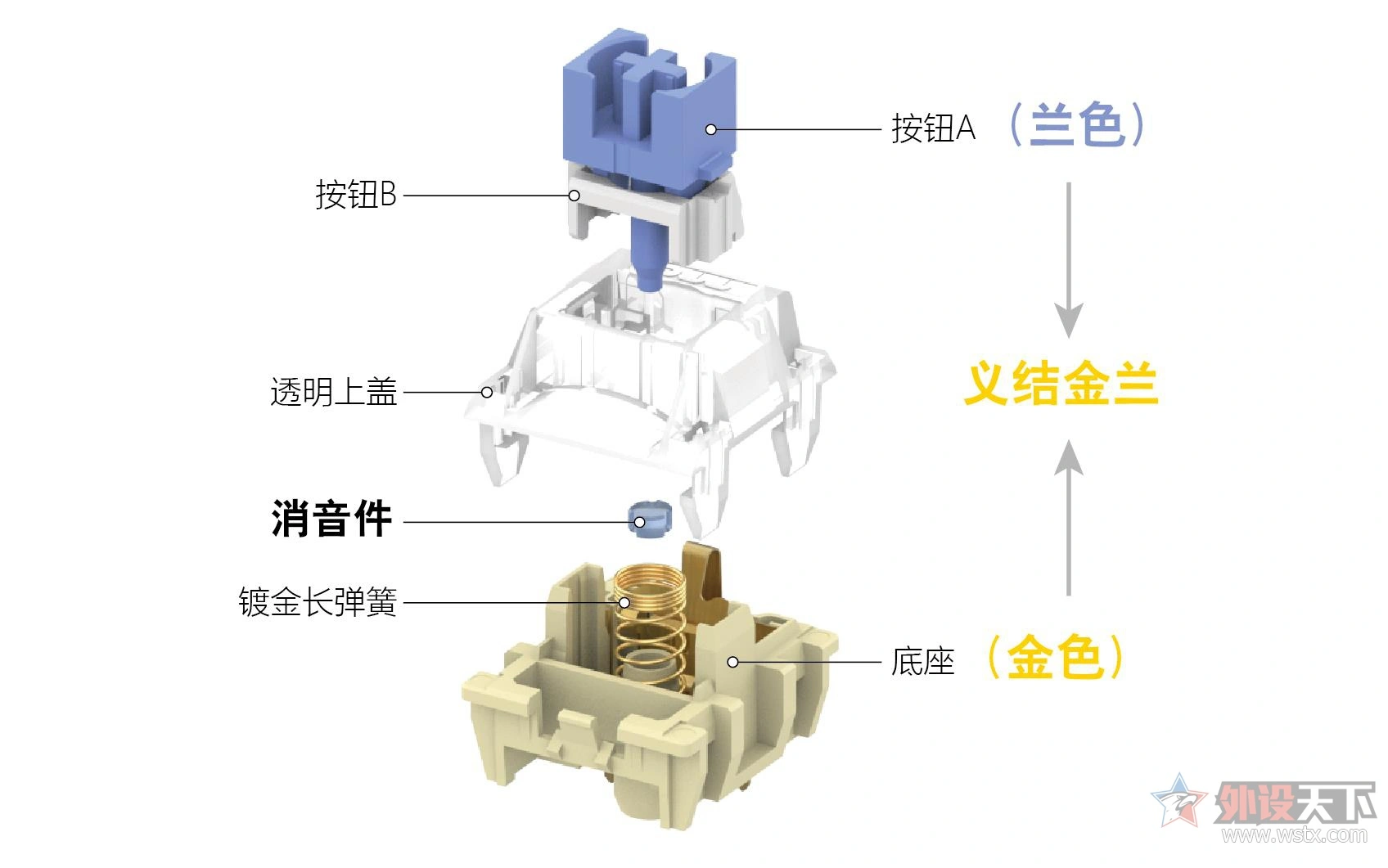 义结金兰——TTC发布金兰兄弟轴