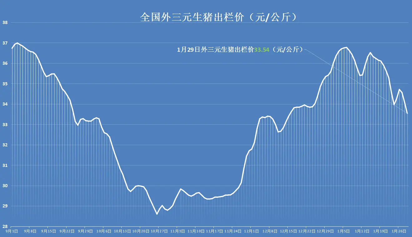 明天猪价预警：1月29日，猪价下跌“三板斧”，行情探底新低！