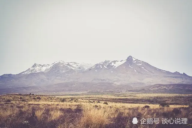 下半年，桃花天降，佳偶天成，3星座邂逅良缘，执手相约地久天长