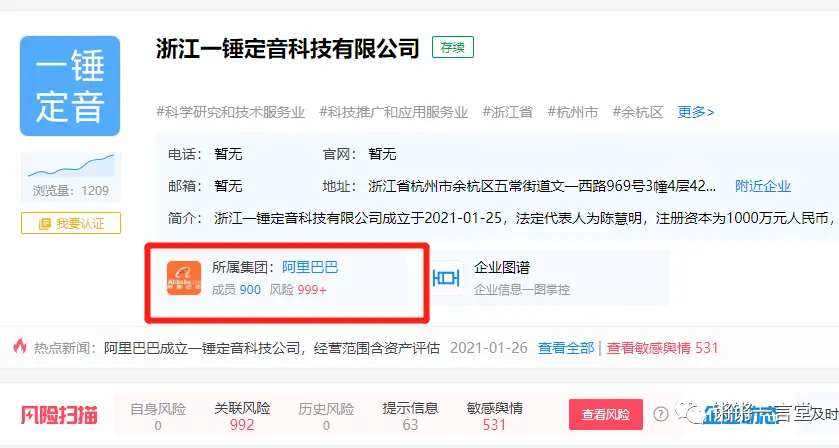 阿里成立“一锤定音科技公司”遭嘲讽：这就是马云的成功秘诀？