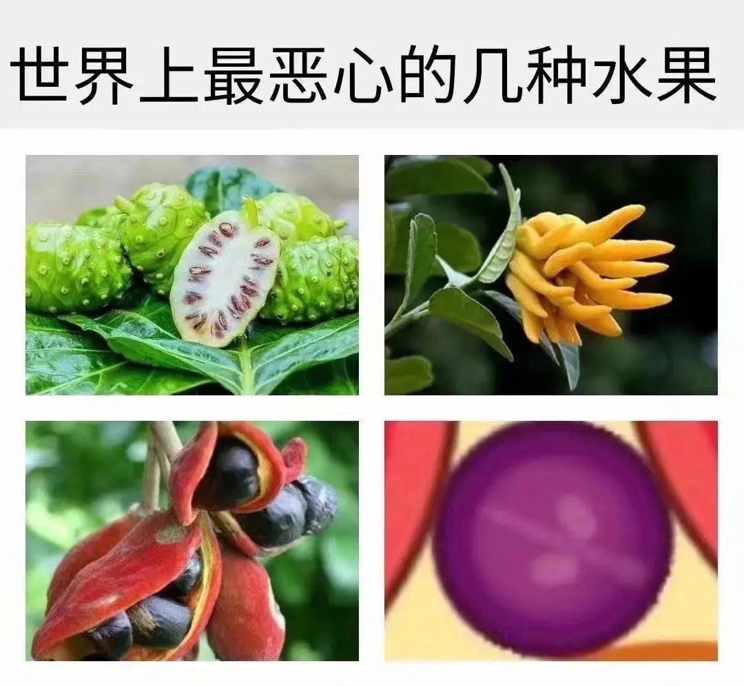 今天你合成大西瓜了吗？