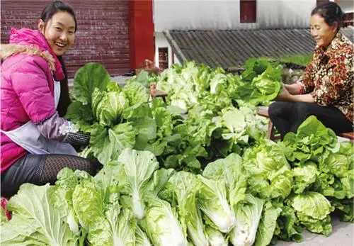 继实体店后，又一行业将迎关门潮，不少人没了饭碗，这次是谁的锅