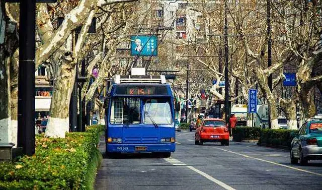 中国最干净的三座城市：环境不输日本，最后一座还是县级市