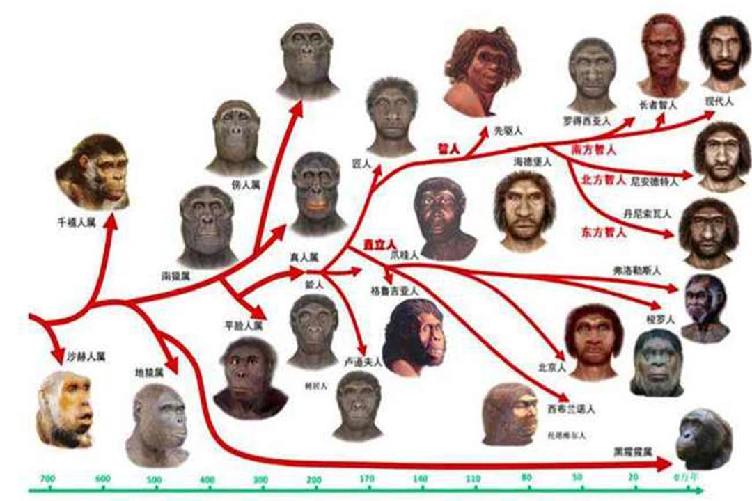 近亲不能结婚，在地球上早期出现的2个人，是怎样繁衍后代的？