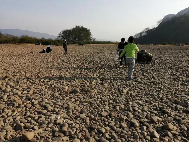 大圩古镇变了样，漓江边多了这一片特别的地方，景色很美