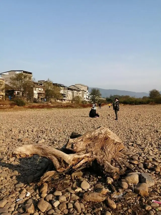 大圩古镇变了样，漓江边多了这一片特别的地方，景色很美