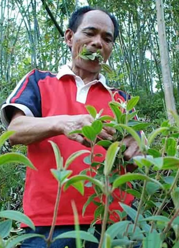 龚孝清34年吃草40吨，3月喝墨水142瓶，妻无法忍受带女儿离家出走