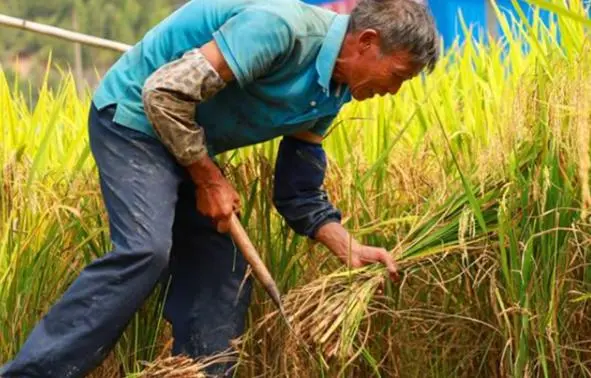 龚孝清34年吃草40吨，3月喝墨水142瓶，妻无法忍受带女儿离家出走