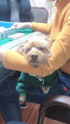 哪里是当代人类快速入眠睡个好觉的主场地？