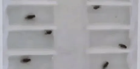 哪里是当代人类快速入眠睡个好觉的主场地？