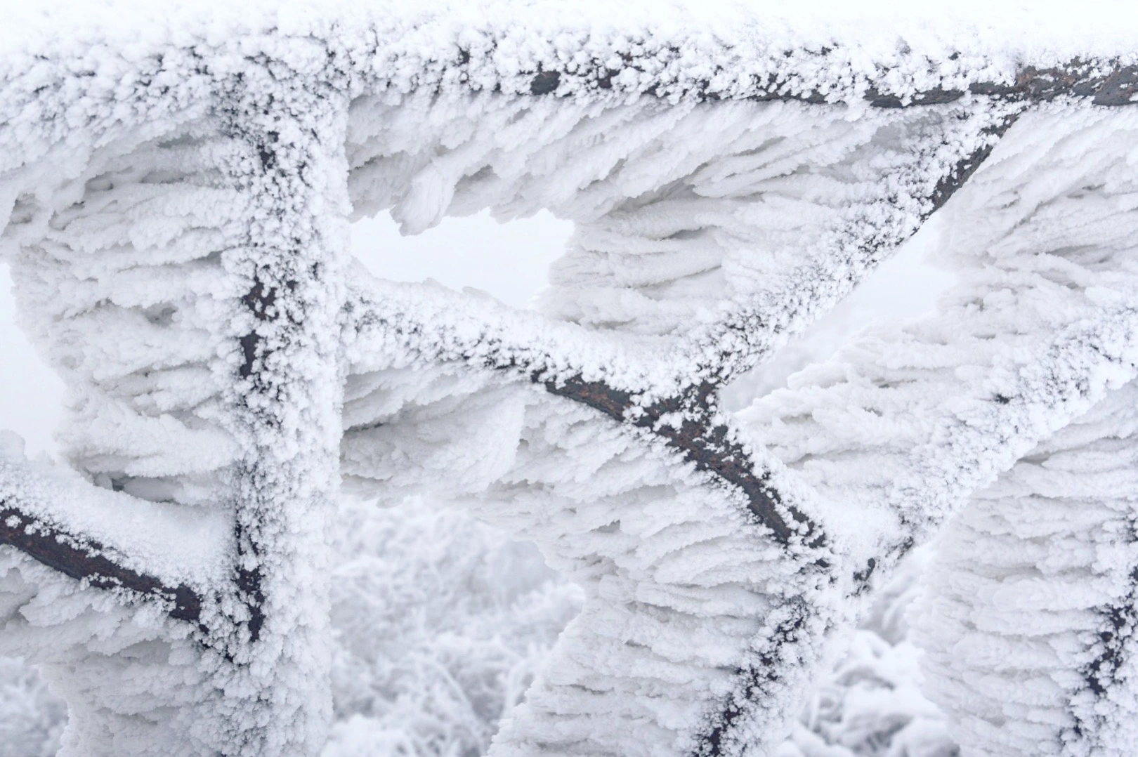 大雪冰封的佛教名山九华山，山顶寺庙依旧香火旺盛，美得宛如仙境