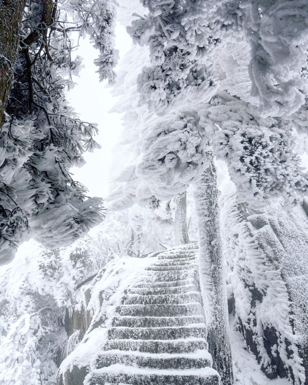 大雪冰封的佛教名山九华山，山顶寺庙依旧香火旺盛，美得宛如仙境