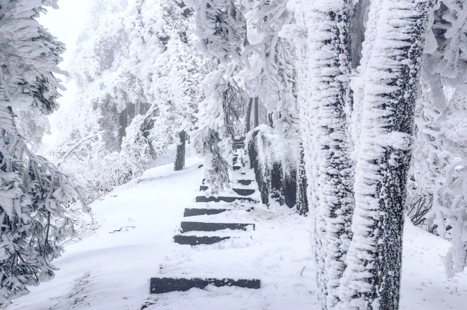 大雪冰封的佛教名山九华山，山顶寺庙依旧香火旺盛，美得宛如仙境