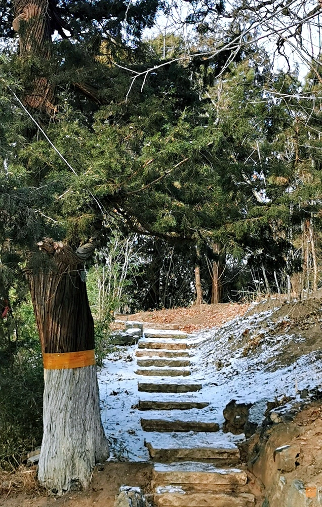 雪后清华，风景很美颜值超高，不输任何国外大学