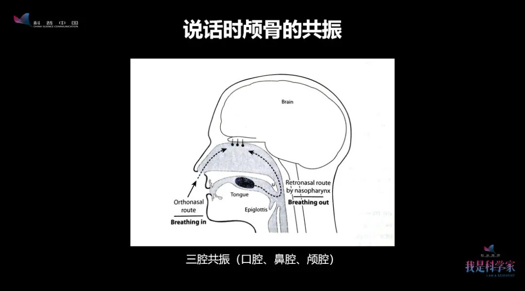 别再嫌弃你妈妈话多唠叨啦，她可能正在做声音健脑操呢