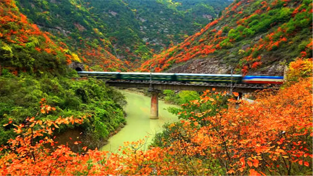 秦岭唯一“盘山铁路”，无与伦比的风景线，从陕西直达四川