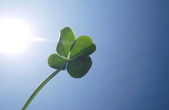 当你穷到被人看不起时，谨记这三句话，好运气早晚会来