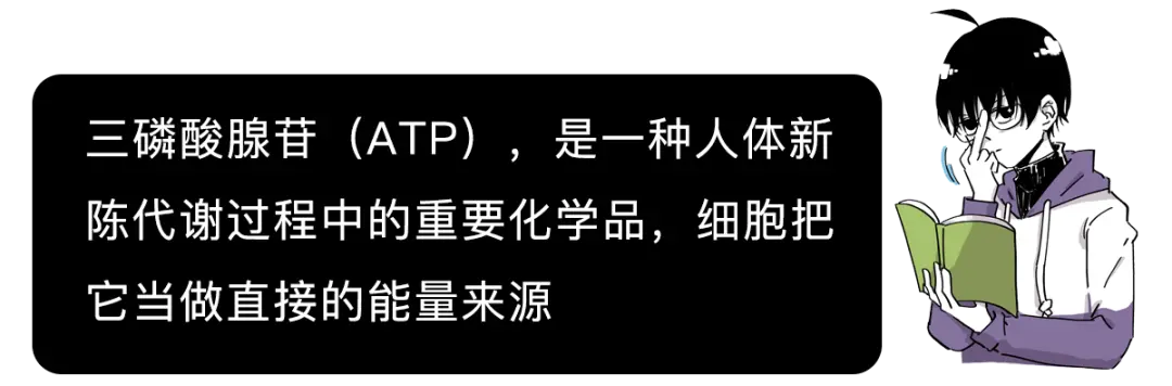 人死前脑子里为啥会出现走马灯？