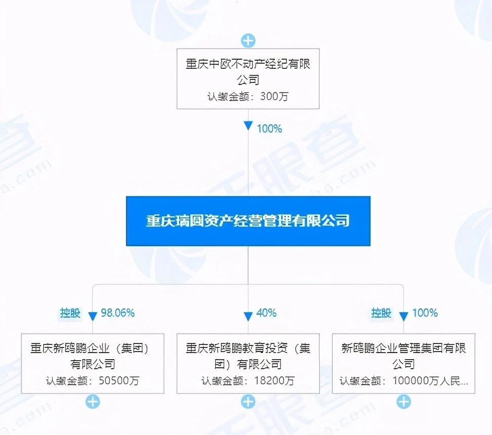 教育＋地产，跌落百强的新鸥鹏能突围吗？