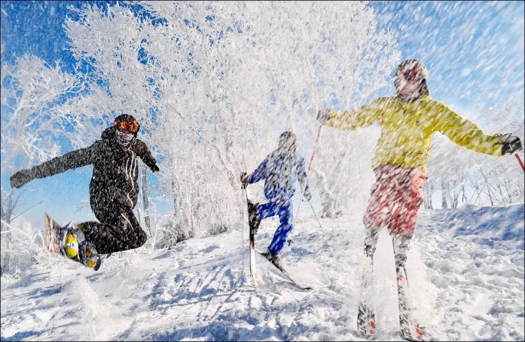 借力冬奥盛会 做强冰雪经济