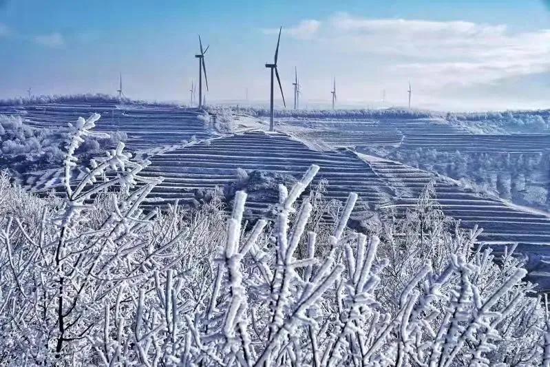 借力冬奥盛会 做强冰雪经济