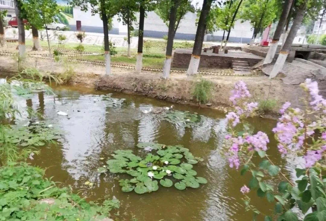 河南有一个万泉河，竟自东向西流，在河道内翻挖，泉水便翻滚而出