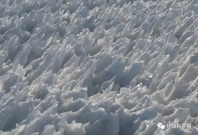 科学家发现，太阳系内可能有生命天体，第1个地外生命或很快找到